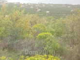For sale:  land - Pelloponese (4117-382) | Dom2000.com