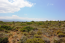 For sale:  land - Iraklion (crete) (4112-384) | Dom2000.com #24469240