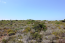 For sale:  land - Iraklion (crete) (4112-384) | Dom2000.com #24469241