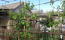 For sale:  home - улица Нефтяников, Herson city (9678-386) | Dom2000.com #67199992