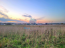For sale:  land - д. Matveevskoe (10517-391) | Dom2000.com #76164829