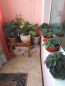 For sale:  3-room apartment - Московский просп., Harkiv city (9913-391) | Dom2000.com #69531012