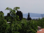 For sale:  home - Евія (6909-392) | Dom2000.com #45916235