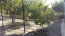 For sale:  home - Евія (6909-392) | Dom2000.com #45916240