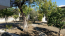 For sale:  home - Евія (6909-392) | Dom2000.com #45916242