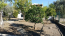 For sale:  home - Евія (6909-392) | Dom2000.com #45916243