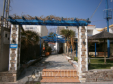 For sale:  shop - Thasos (4118-393) | Dom2000.com