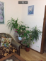 Lease home - Россошенцы / Степная ул., Poltava city (9793-393) | Dom2000.com #68268860