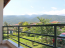 For sale:  home - Pieria (4120-394) | Dom2000.com #24552833