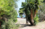 For sale:  land - Kassandra (4399-394) | Dom2000.com #26518513