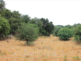 Продам земельный участок - Ираклио (Крит) (4116-403) | Dom2000.com
