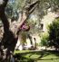 For sale hotel/resort - Kassandra (4120-404) | Dom2000.com #24552974