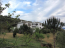 For sale:  home - Volos (6368-404) | Dom2000.com #42103134