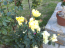 For sale:  home - Volos (6368-404) | Dom2000.com #42103169