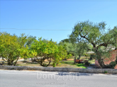 For sale:  land - Zakynthos (4110-406) | Dom2000.com