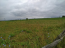 For sale:  land - д. Klychevo (10615-407) | Dom2000.com #77222317