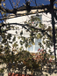For sale:  home - Вишнёвая str., Ovidiopolskiy rayon (9809-408) | Dom2000.com #68428421
