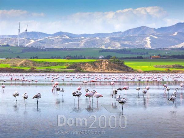 Продам земельный участок - Кипр (5259-409) | Dom2000.com