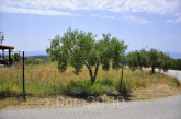 For sale:  land - Sithonia (4117-411) | Dom2000.com