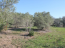 For sale:  home - Pieria (5947-411) | Dom2000.com #39131536