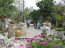 For sale:  home - Kerkyra (Corfu island) (4118-413) | Dom2000.com #24533225