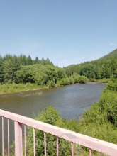 For sale:  land - Центральная улица str., п. Nizhniy Kochergat (10481-415) | Dom2000.com