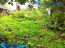 For sale:  land - Yuzhno-Sahalinsk city (10572-419) | Dom2000.com #76746597