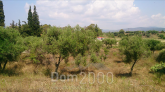 Продам земельну ділянку - Сітонія (4118-419) | Dom2000.com