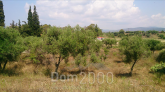 For sale:  land - Sithonia (4118-419) | Dom2000.com