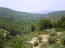 For sale:  home - Sithonia (4111-426) | Dom2000.com #24457896