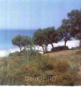For sale:  land - Athos (4120-427) | Dom2000.com