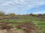 For sale:  land - улица Шевченко, ст-ца. Novoscherbinovskaya (10636-428) | Dom2000.com #77827951