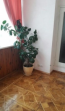 For sale:  3-room apartment - ул. Саксаганского, 30а, Kiyivska oblast (5344-430) | Dom2000.com #42833782