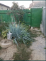 For sale:  home - Чкалова str., Kiyevo-Svyatoshinskiy rayon (9798-431) | Dom2000.com #68326519