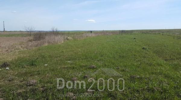 For sale:  land - Генерала Кульчинського str., Sokal city (regional center) (9802-431) | Dom2000.com