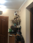 For sale:  2-room apartment - Некрасова str., Vinnitsya city (9816-431) | Dom2000.com #68499285