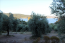 For sale:  land - Athos (4116-432) | Dom2000.com #24512079
