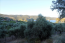 For sale:  land - Athos (4116-432) | Dom2000.com #24512080