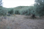 For sale:  land - Athos (4116-432) | Dom2000.com #24512082