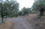For sale:  land - Athos (4116-432) | Dom2000.com #24512084