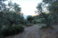For sale:  land - Athos (4116-432) | Dom2000.com #24512085