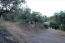 For sale:  land - Athos (4116-432) | Dom2000.com #24512087