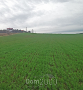 Продам земельный участок - Кассандра (Халкидики-Кассандра) (4120-432) | Dom2000.com