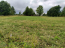For sale:  land - д. Klychevo (10628-433) | Dom2000.com #77738694