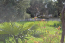 For sale:  home - Chalkidiki (4113-434) | Dom2000.com #24479640