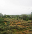 For sale:  land - Eastern Macedonia and Thrace (4120-436) | Dom2000.com #24553464