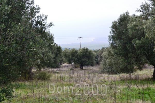 For sale:  land - Chalkidiki (4113-439) | Dom2000.com