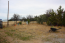 For sale:  land - Chalkidiki (5926-441) | Dom2000.com #38971930