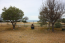 For sale:  land - Chalkidiki (5926-441) | Dom2000.com #38971932
