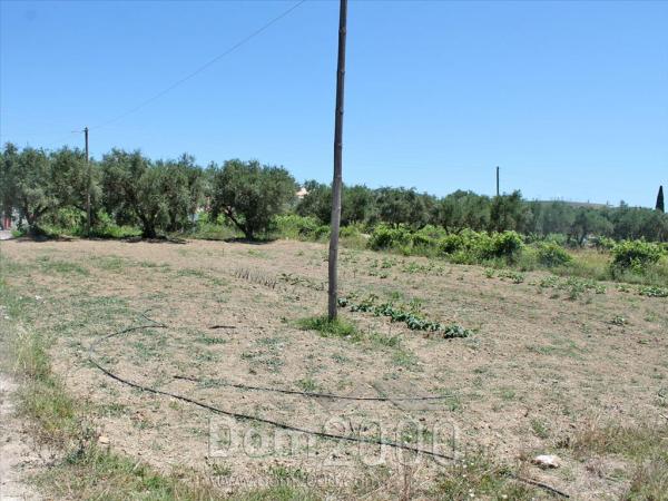 For sale:  land - Zakynthos (7679-442) | Dom2000.com